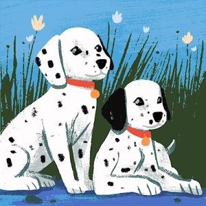 Meet your Posher, Katelyn